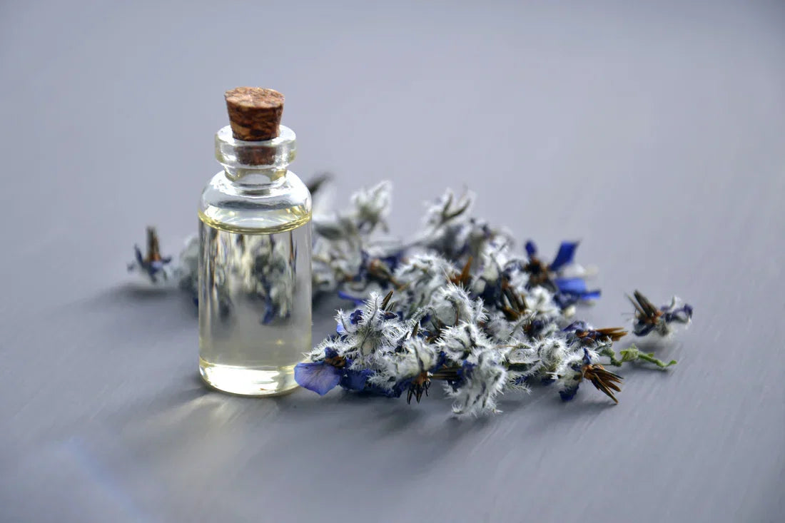 Trouver son parfum signature : le guide par familles olfactives Image