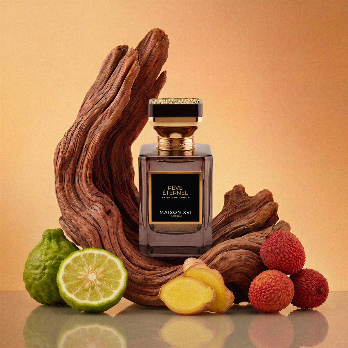 Rêve Éternel